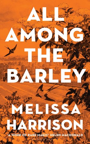 Cover image of All Among the Barley by Melissa Harrison