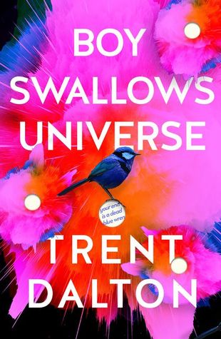 Cover image of Boy Swallows Universe